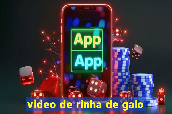 video de rinha de galo